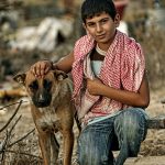 Bedouin-Shepherd-Dog